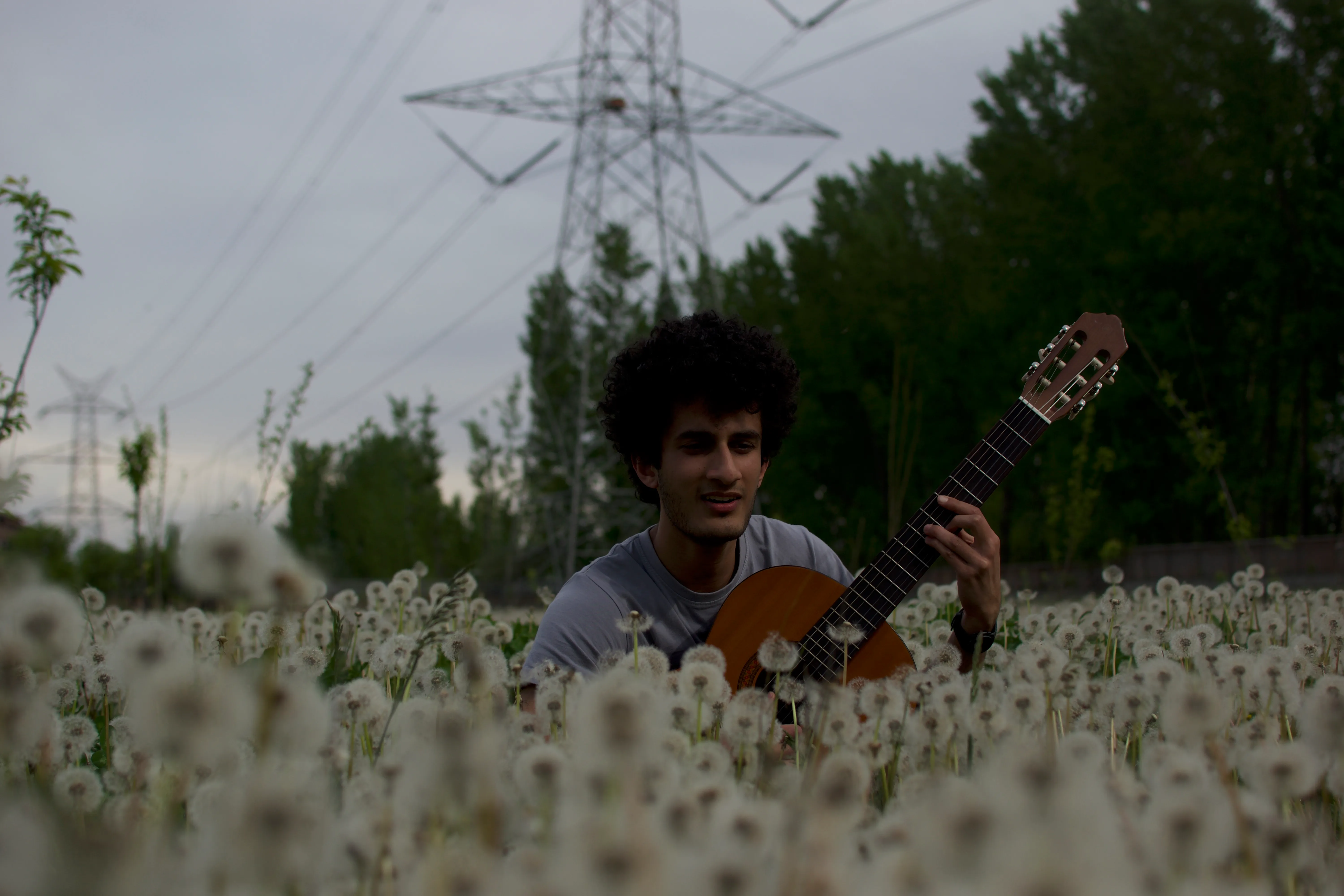 Azan holding a classical guitar in a field covered with dandelions.